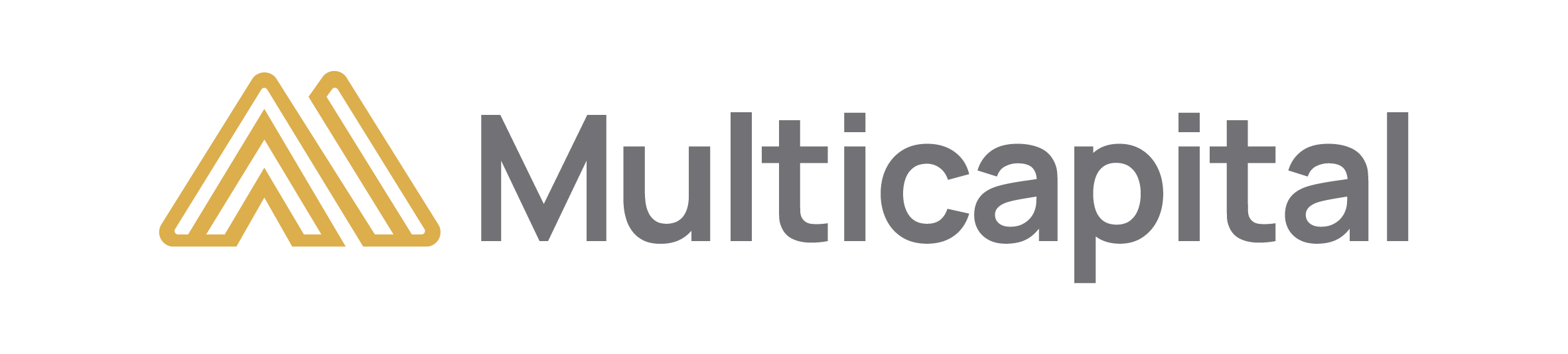 Multicapital